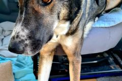 1_20260810_182024-scaled