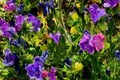 20260430_111910-scaled