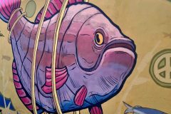 20260504_120137-scaled