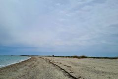 20260508_120357-scaled