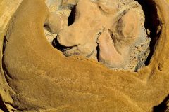 20260510_114439-scaled