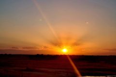 20260512_202616-scaled