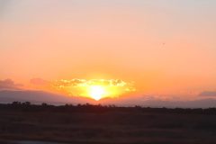 20260512_203041-scaled