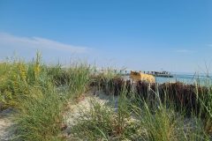 20260627_093316-scaled