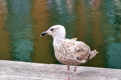 20260629_143927-scaled