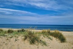 20260701_104310-scaled
