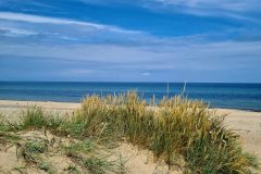20260701_104320-scaled