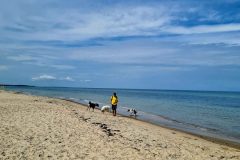 20260701_104504-scaled