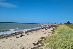 20260708_1548452515325978215288369-scaled