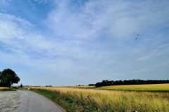 20260712_090237-scaled