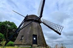 20260713_111557-scaled