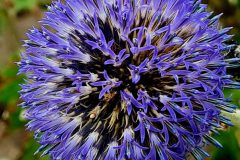 20260718_120602-scaled