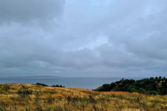 20260719_135548-scaled
