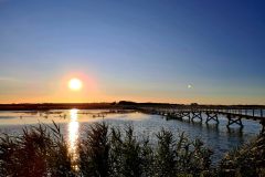 20260720_205732-scaled