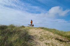 20260723_165526-scaled