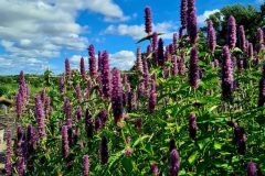 20260808_145126-scaled