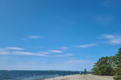 20260813_113338-scaled