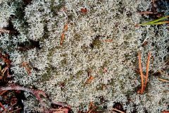 20260813_114939-scaled