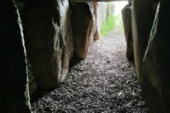 20260819_124101-scaled