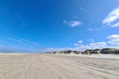 20260824_105600-scaled