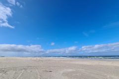 20260824_105630-scaled