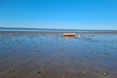20260825_095329-scaled