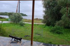 20260103_084526-scaled