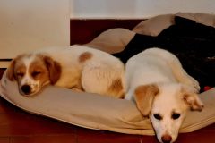 20260104_105732-scaled