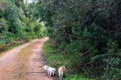 20260104_151901-scaled