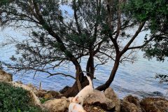 20260104_152659-scaled