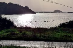 20260107_093043-scaled