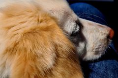 20260109_101010-scaled