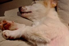 20260109_192233-scaled