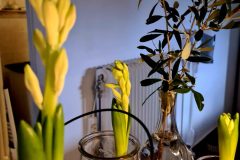 20260110_094440-scaled