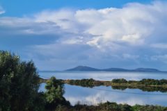 20260111_103537-scaled