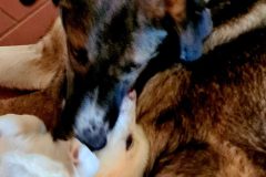 20260111_112030-scaled