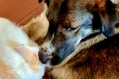 20260111_112150-scaled