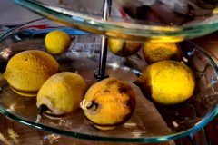 20260112_082328-scaled