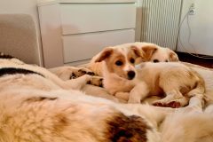 20260112_094448-scaled