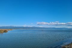 20260112_145100-scaled