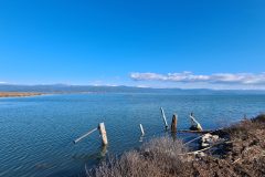 20260112_145136-scaled