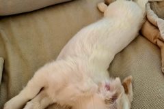 20260113_095444-scaled