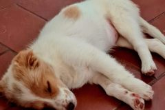 20260113_095637-scaled