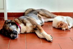 20260113_150002-1-scaled