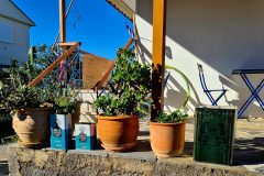 20260114_144958-scaled