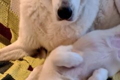 20260115_102218-scaled