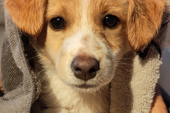 IMG_20260106_154709_065